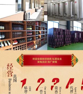 一件代发 低价红酒批发 葡萄酒干红葡萄酒 工厂店直销电商供货